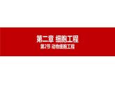 第二节 《动物细胞工程课时2》课件PPT+教案