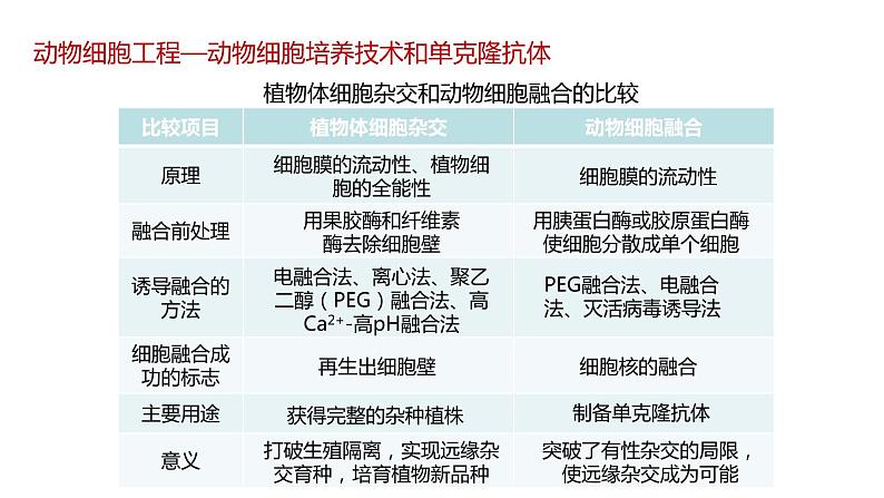 第二节 《动物细胞工程课时2》课件PPT+教案07