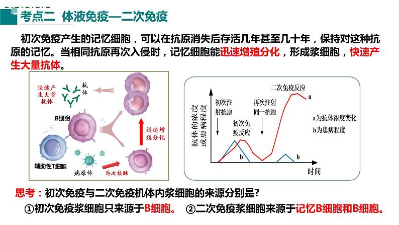 2023届高三生物一轮复习课件：第25讲 免疫调节（第二课时）06