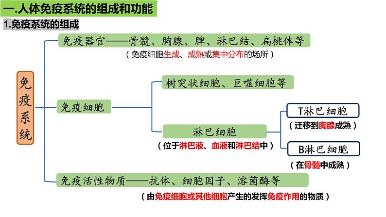 2023届高三生物一轮复习课件：第26讲　免疫调节（第一课时）第2页