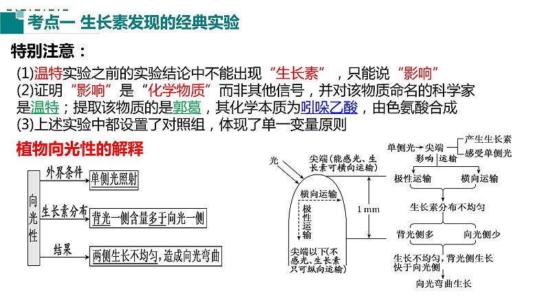 2023届高三生物一轮复习课件：第26讲植物生命活动的调节(第一课时）第6页