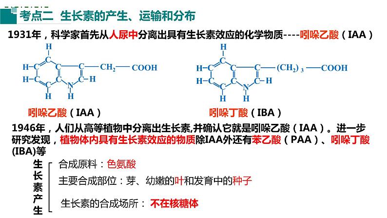 2023届高三生物一轮复习课件：第26讲植物生命活动的调节(第一课时）第7页