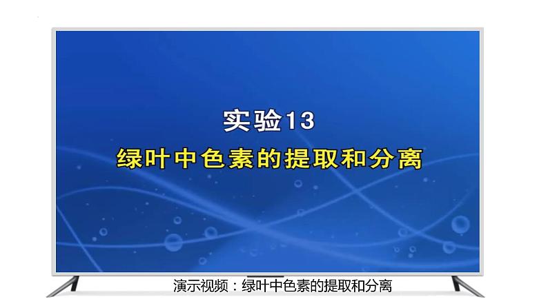 2023届高三生物一轮复习课件：光合作用与能量转化第3页