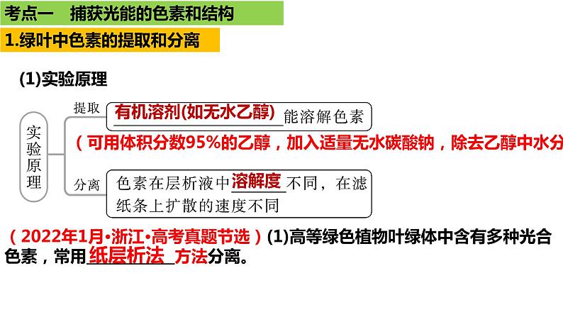 2023届高三生物一轮复习课件：光合作用与能量转化第4页