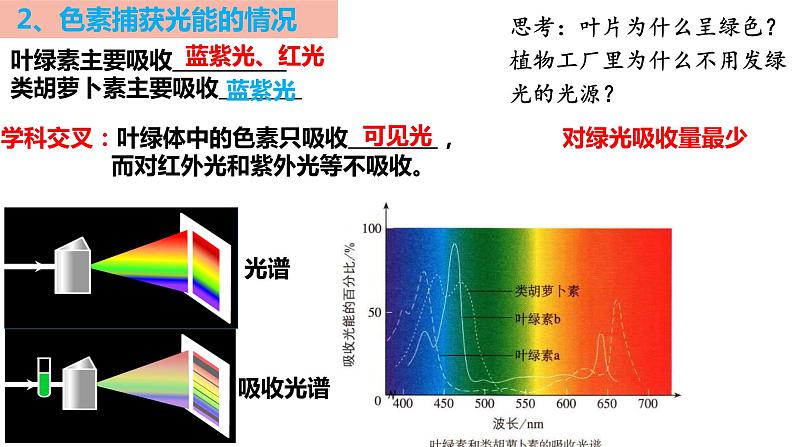 2023届高三生物一轮复习课件：光合作用与能量转化第8页