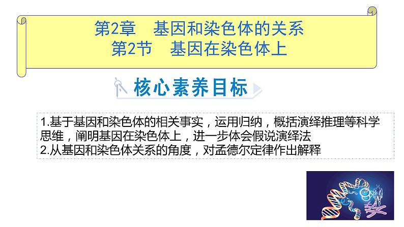 2023届高三生物一轮复习课件：基因在染色体上第1页