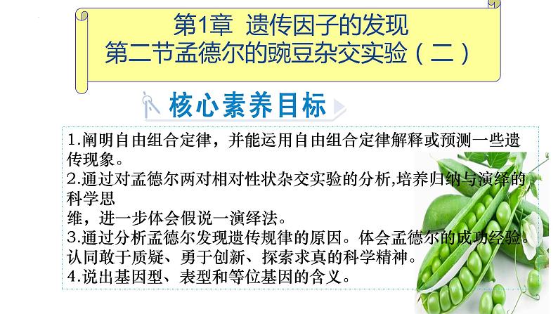 2023届高三生物一轮复习课件：孟德尔的豌豆杂交实验（二）第1页