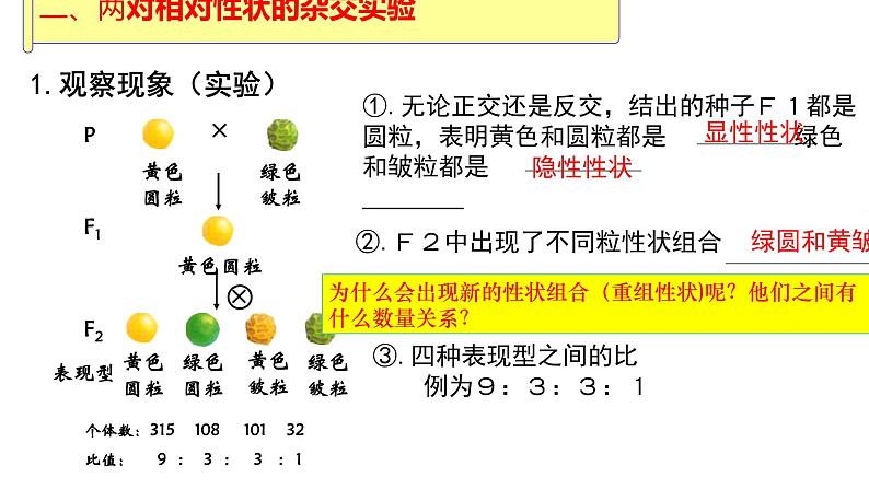 2023届高三生物一轮复习课件：孟德尔的豌豆杂交实验（二）第4页