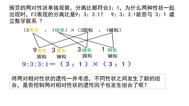 2023届高三生物一轮复习课件：孟德尔的豌豆杂交实验（二）第6页