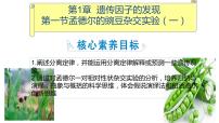 2023届高三生物一轮复习课件：孟德尔的豌豆杂交实验（一）