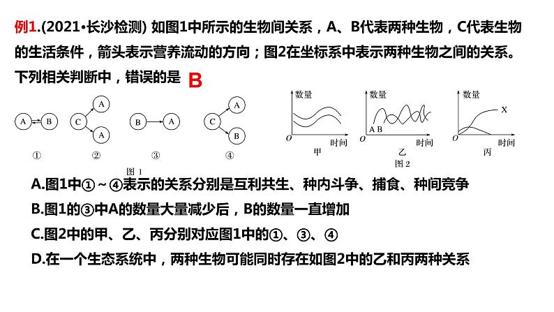 2023届高三生物一轮复习课件：群落的结构第7页