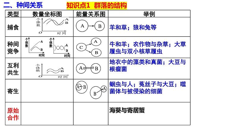 2023届高三生物一轮复习课件：群落的结构第8页