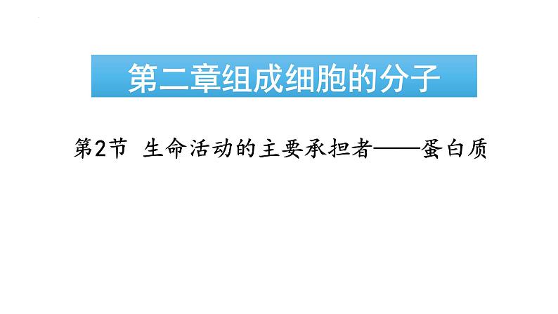 2023届高三生物一轮复习课件：生命活动的承担者-蛋白质第2页