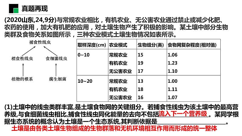 2023届高三生物一轮复习课件：生态系统的结构第2页