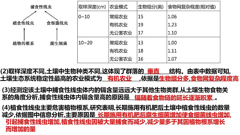 2023届高三生物一轮复习课件：生态系统的结构第3页