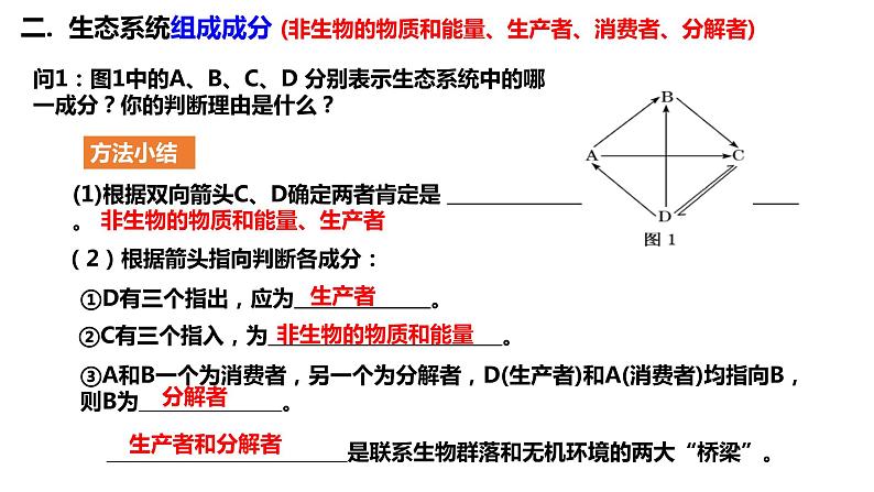 2023届高三生物一轮复习课件：生态系统的结构第6页