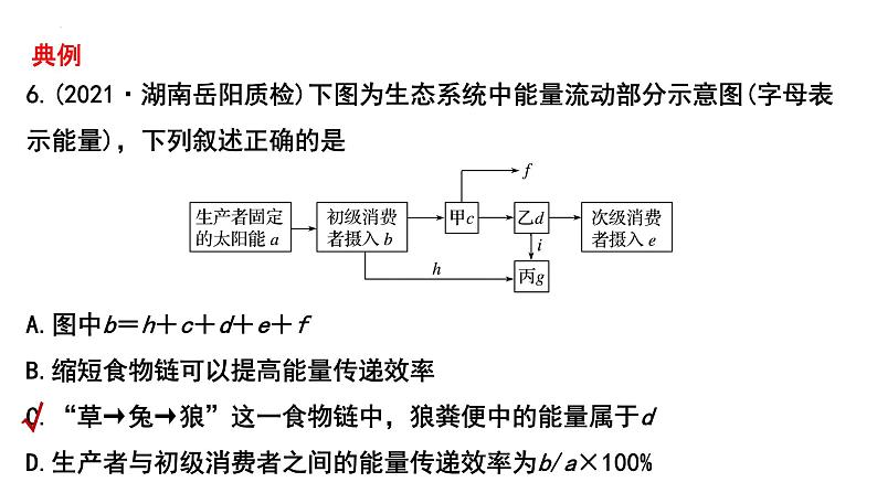 2023届高三生物一轮复习课件：生态系统的能量流动第3页