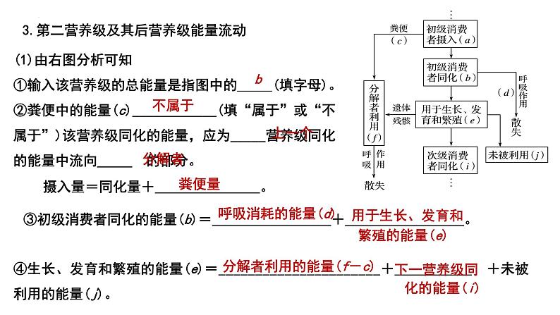 2023届高三生物一轮复习课件：生态系统的能量流动第6页