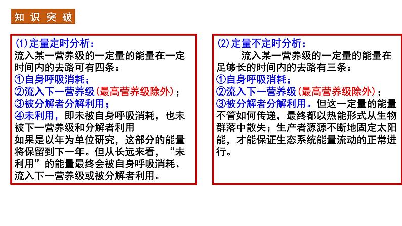 2023届高三生物一轮复习课件：生态系统的能量流动第7页