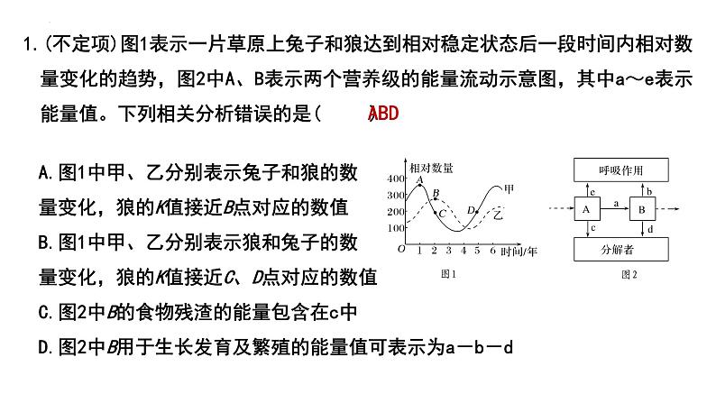 2023届高三生物一轮复习课件：生态系统的能量流动第8页