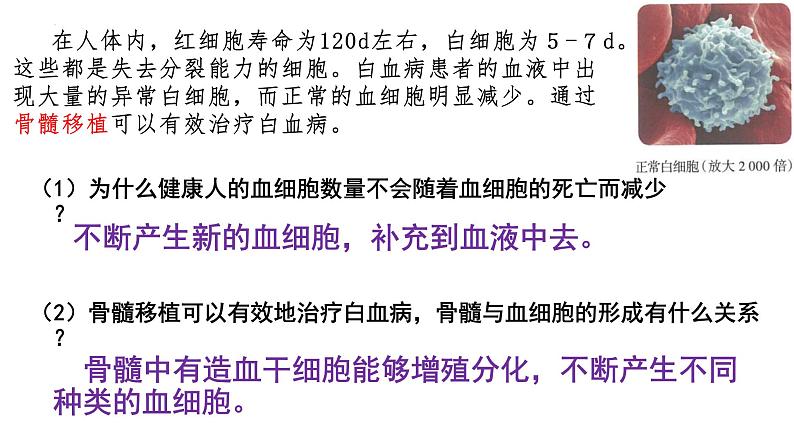 2023届高三生物一轮复习课件：细胞的分化、衰老和死亡第2页