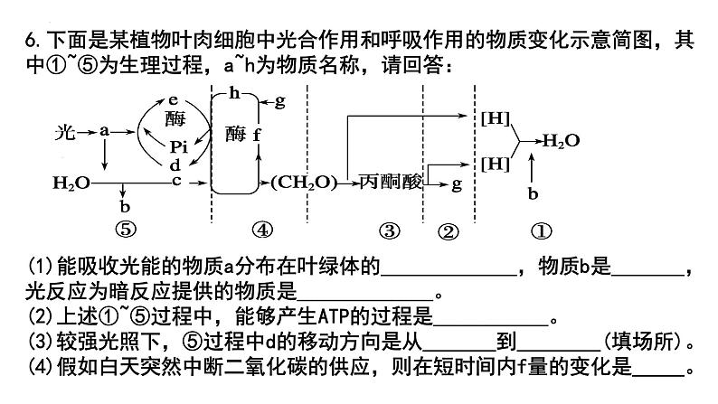 2023届高三生物一轮复习课件：细胞呼吸和光合作用的曲线第1页