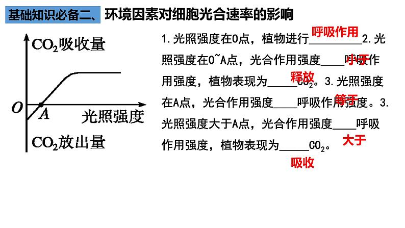 2023届高三生物一轮复习课件：细胞呼吸和光合作用的曲线第6页