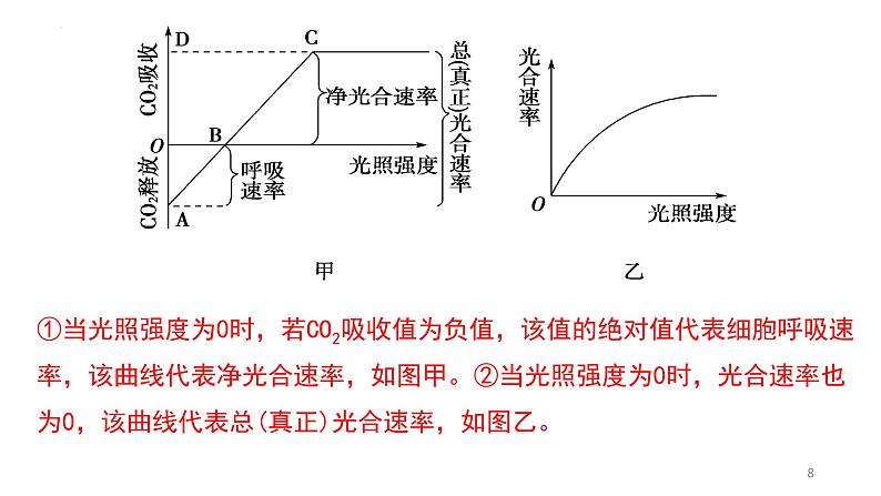 2023届高三生物一轮复习课件：细胞呼吸和光合作用的曲线第8页