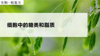 2023届高三生物一轮复习课件：细胞中的糖类和脂质