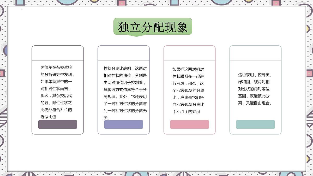 2023届高三生物一轮复习课件：自由组合定律第5页