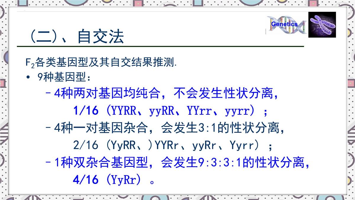 2023届高三生物一轮复习课件：自由组合定律第8页