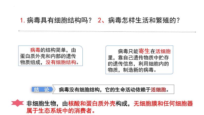 2023届高三生物一轮复习课件：走近细胞05