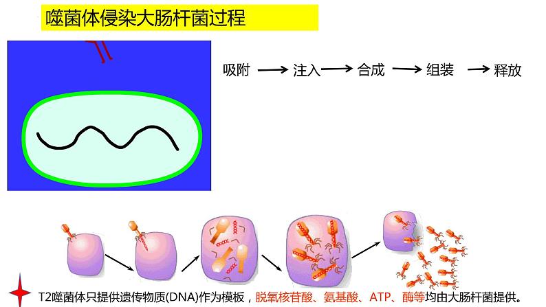 2023届高三生物一轮复习课件：走近细胞07