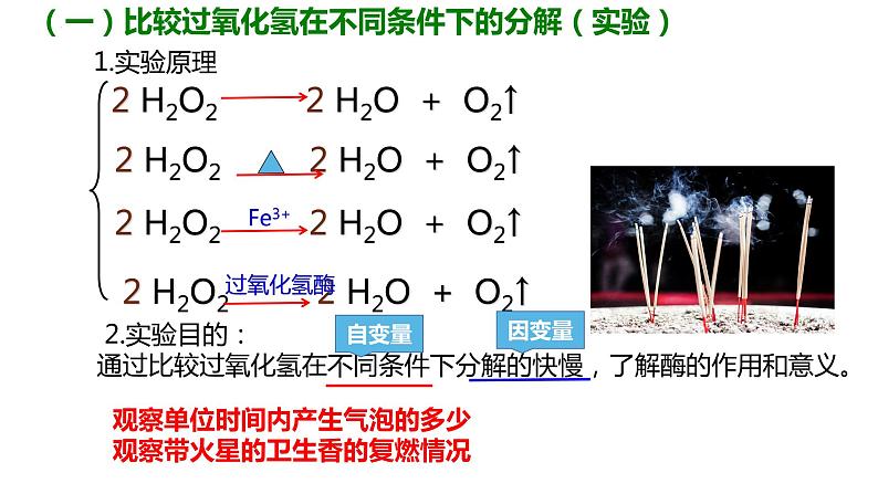 2023届高三一轮复习生物：5.1.1酶的作用和本质课件第7页