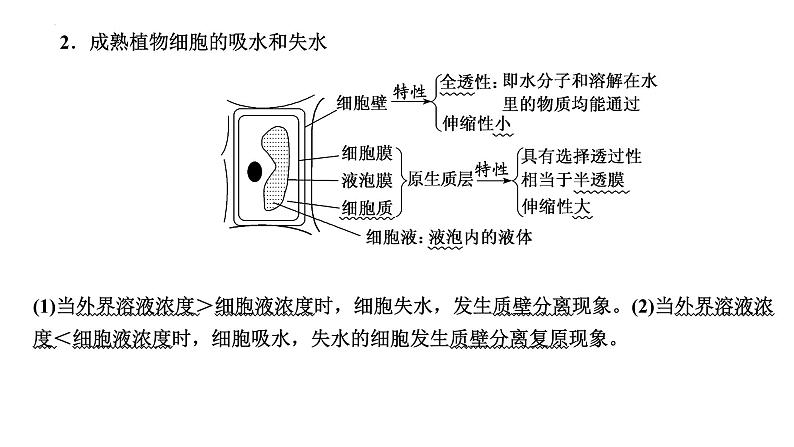 2023届高三一轮复习生物：第4章  细胞的物质输入和输出—把握2个常考点课件PPT第2页