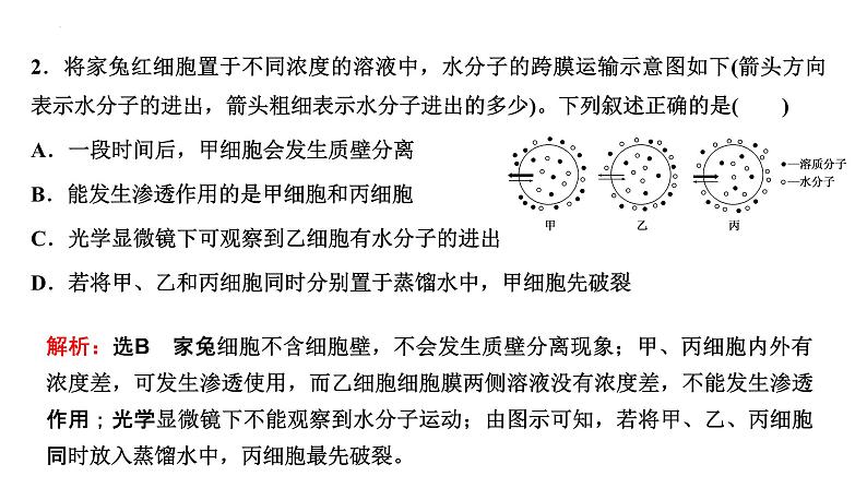 2023届高三一轮复习生物：第4章  细胞的物质输入和输出—把握2个常考点课件PPT第6页