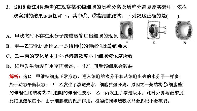 2023届高三一轮复习生物：第4章  细胞的物质输入和输出—把握2个常考点课件PPT第7页