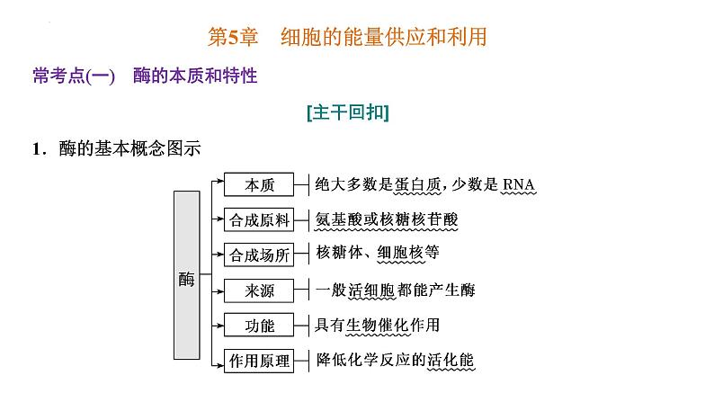 2023届高三一轮复习生物：第5章 细胞的能量供应和利用—把握3个常考点课件01