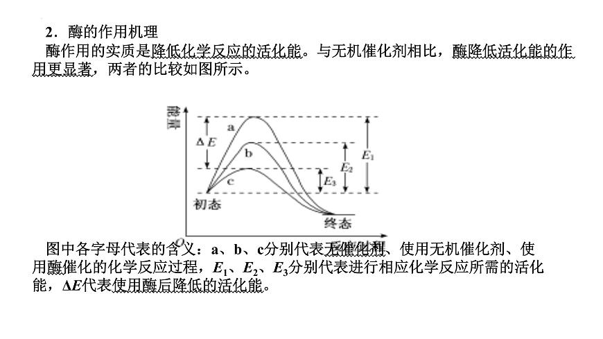 2023届高三一轮复习生物：第5章 细胞的能量供应和利用—把握3个常考点课件第2页