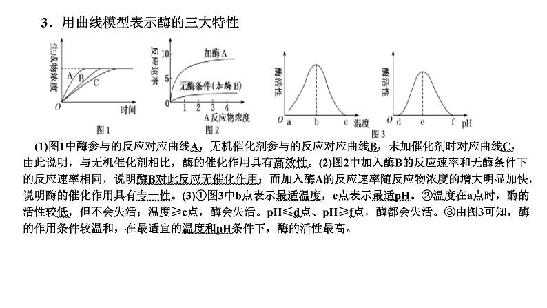 2023届高三一轮复习生物：第5章 细胞的能量供应和利用—把握3个常考点课件03