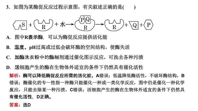 2023届高三一轮复习生物：第5章 细胞的能量供应和利用—把握3个常考点课件06