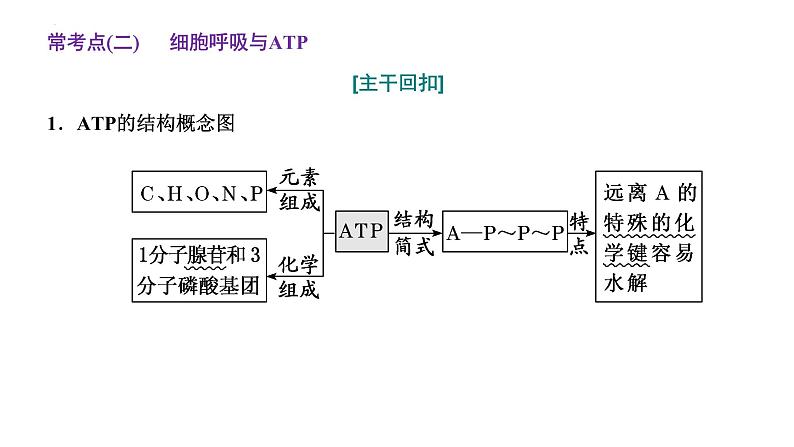 2023届高三一轮复习生物：第5章 细胞的能量供应和利用—把握3个常考点课件07