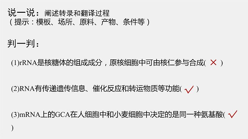 2023届高三一轮复习生物：基因的表达 课件第2页