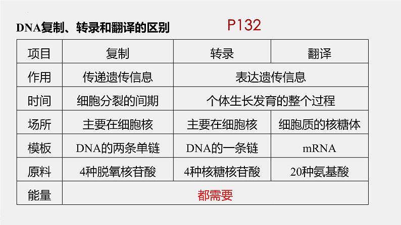 2023届高三一轮复习生物：基因的表达 课件第3页