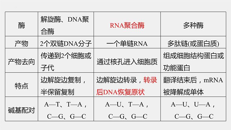 2023届高三一轮复习生物：基因的表达 课件第4页