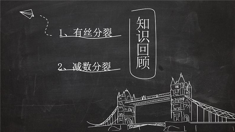 2023届高三一轮复习生物：有丝分裂与减数分裂图形辨析课件第2页