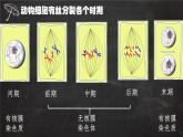 2023届高三一轮复习生物：有丝分裂与减数分裂图形辨析课件