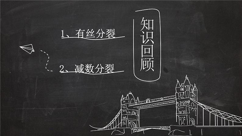 2023届高三一轮复习生物：有丝分裂与减数分裂图形辨析课件第5页