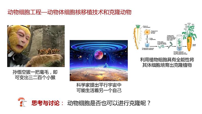 第二节 动物细胞工程课时3课件第2页