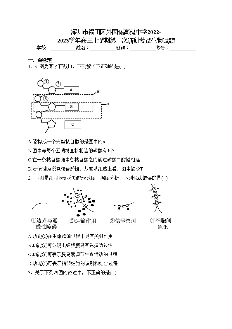 深圳市福田区外国语高级中学2022-2023学年高三上学期第二次调研考试生物试题(含答案)01